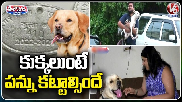 Uttar Pradesh Govt Imposed Tax On Pet Dogs _ Prayagraj _ V6 Weekend Teenmaar
