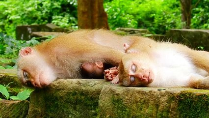 5=Wow! this is my first day to see Rainbow sleep happiness with Libby