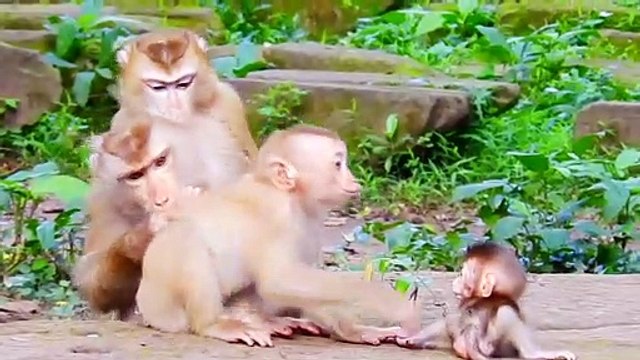 9=S-A-D WAITING Mom Take But Libby not interested Baby Rainbow