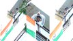Kartik Aryan ने 75th Independence Day पर फहराया Tiranga,कैमरा के लिए दिए Pose, Video Viral!