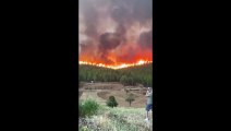 Yangın dehşeti yeniden başladı! Tokat'tan uyarı: Yangın Yeniköy Termik Santraline doğru ilerliyor