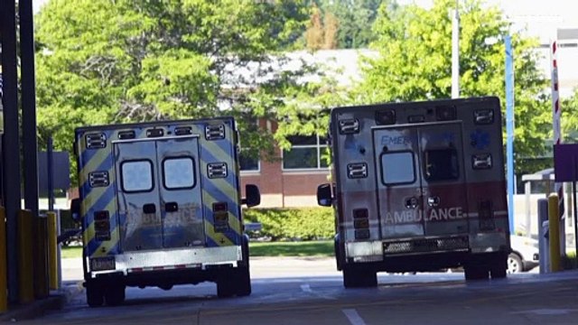 Estados Unidos | El novelista Salman Rushdie en vías de recuperación