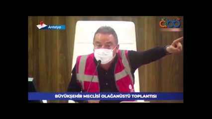 Muhittin Böcek yangınları anlattı, AKP sözcüsü kahkahayla dinledi!