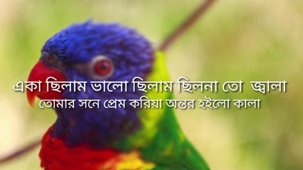 একা ছিলাম ছিলাম ভালো ছিল নাতো জ্বালা ll Aka cilam vlo cilam cilo na to jala ll