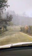 Yılmaz Özdil, Milas'tan paylaştı: Böyle çaresizlik görmedim