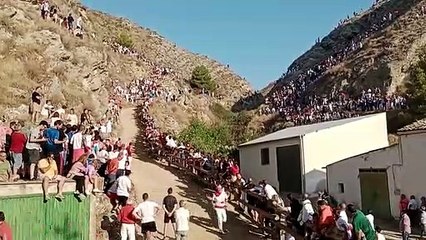 Segundo Pilón de Falces 2022
