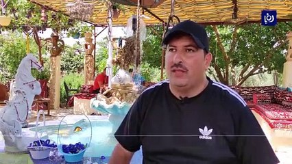 بعد فشله في المرة الأولى.. أبو ديه ينجح في زراعة الشاي الأزرق