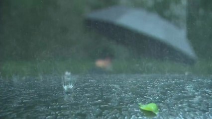 [날씨] 밤사이 중부→남부 게릴라 호우..."침수·산사태 조심해야" / YTN