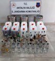 Antalya 3. sayfa haberleri: Manavgat'ta otel odasında 387 litre sahte içki ele geçirildi