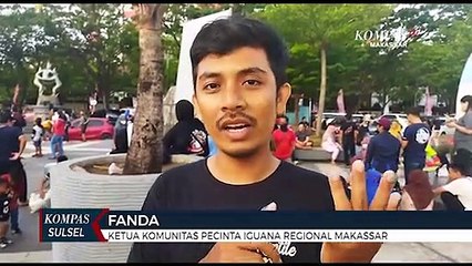 Iguana Dan Ular Ramaikan Pantai Losari