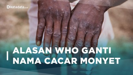 Mengapa WHO Ganti Nama Cacar Monyet Menjadi Clade