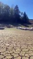 جفاف بحيرة بالكامل على الحدود الفرنسية السويسرية بسبب الجفاف