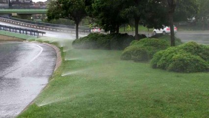 İBB, yağan yağmurun altında çim suladı