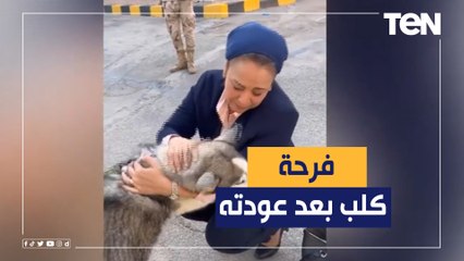 فرحة كلب بعد غياب 8 أيام للعلاج.. شاهد كيف استقبل الأسرة التي قامت بتربيته