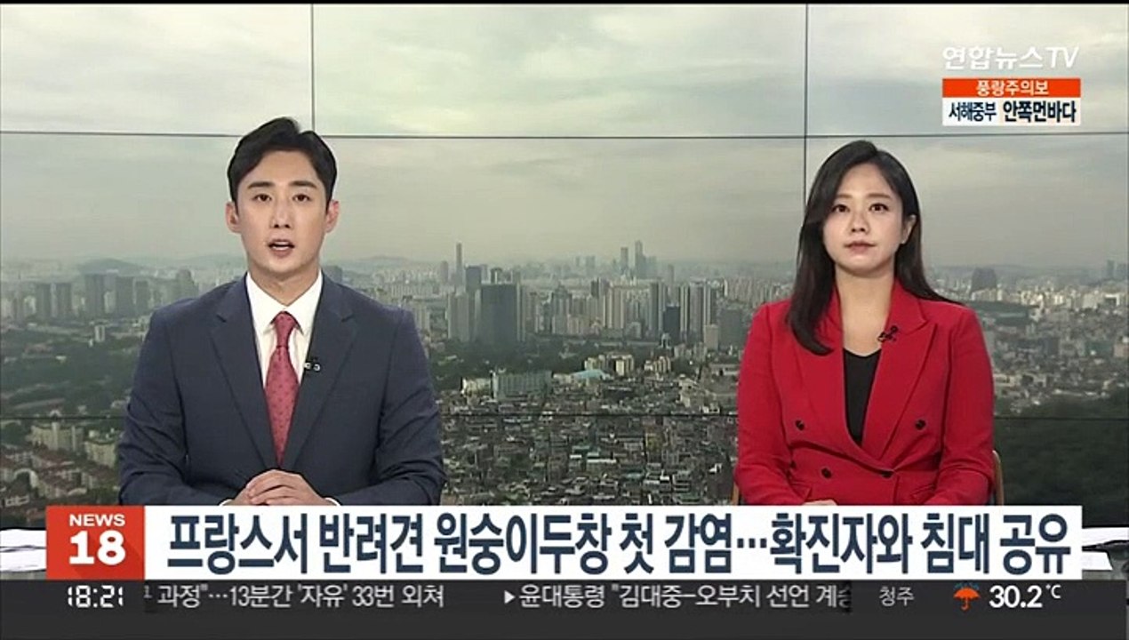 프랑스서 반려견이 원숭이두창 감염…확진 주인과 침대공유