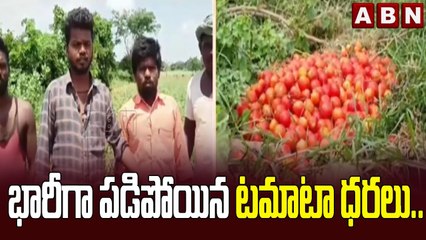 భారీగా పడిపోయిన టమాటా ధరలు.. || Tomatoes || ABN Telugu