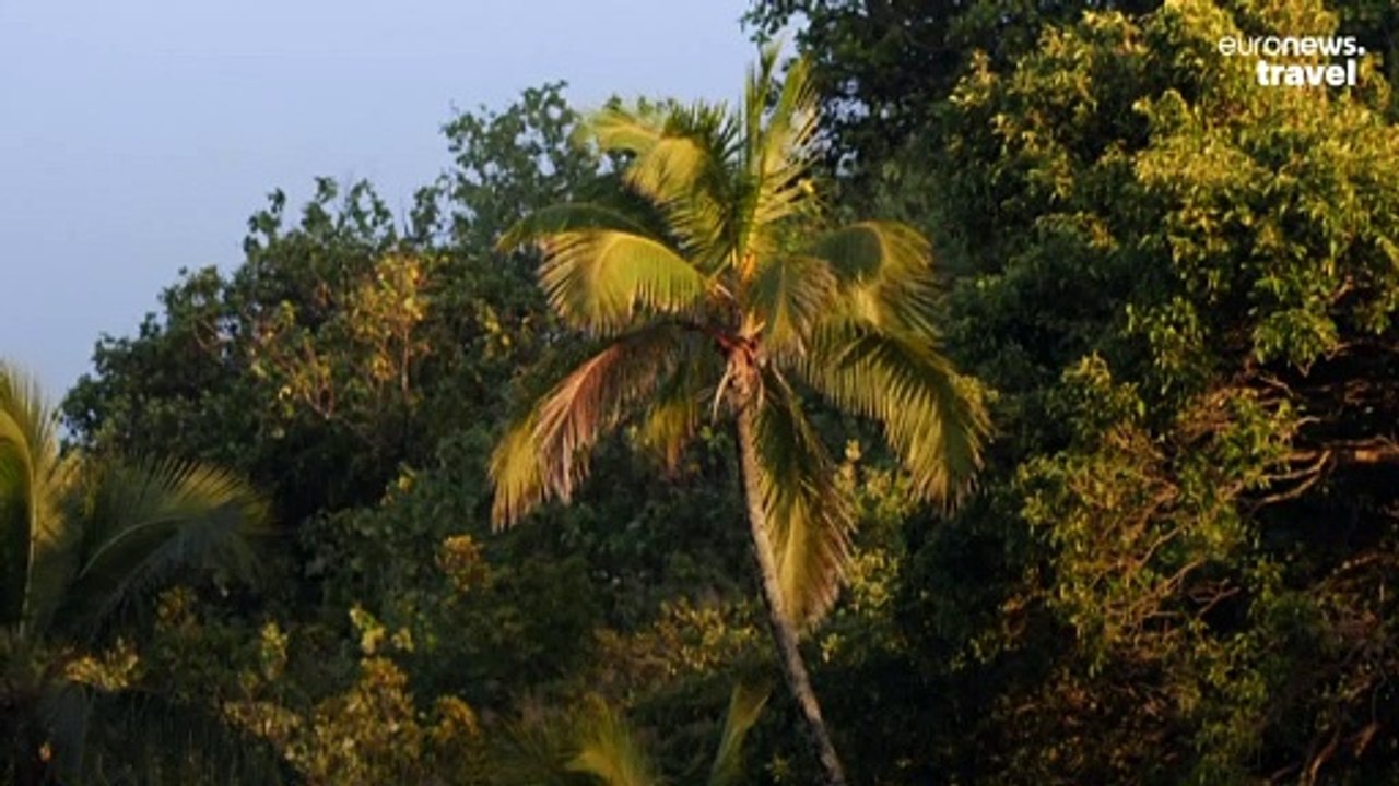 This secret surf spot 15,000km from Paris is hosting part of the 2024 Olympic Games