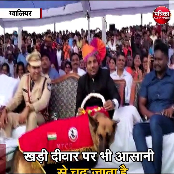 ग्वालियर  :15 फीट ऊंची दीवार पलक झपकते कूद लेता है ये डॉग