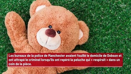 Découvrez l'endroit étonnant où un voleur s'est caché pour fuir la police !