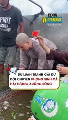 Dư luận tranh cãi dữ dội chuyện phóng sinh cá hải tượng xuống sông