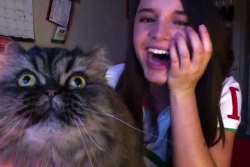 Cat Interrupts Opera Session to Sing