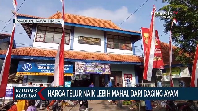Harga Telur Naik Lebih Mahal Dari Daging Ayam