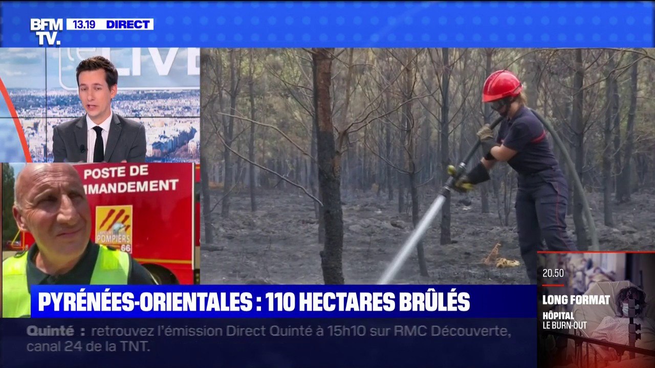 Dans les Pyrénées-Orientales, un incendie a déjà brûlé 105 hectares