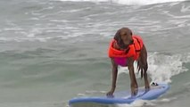 Positively 23ABC: Surf dog Ricochet gears up for last ride to raise funds for veterans
