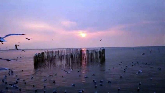 Fantasy Harp Music Study, Sleep, Meditation, Spa Beautiful Relaxing Background Music