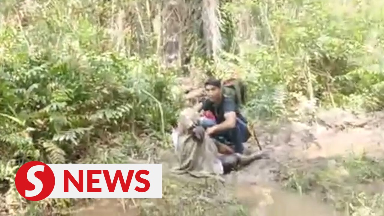 Senior citizen found after missing at oil palm...