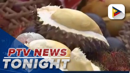 Davao City celebrates Kadayawan Durian Festival