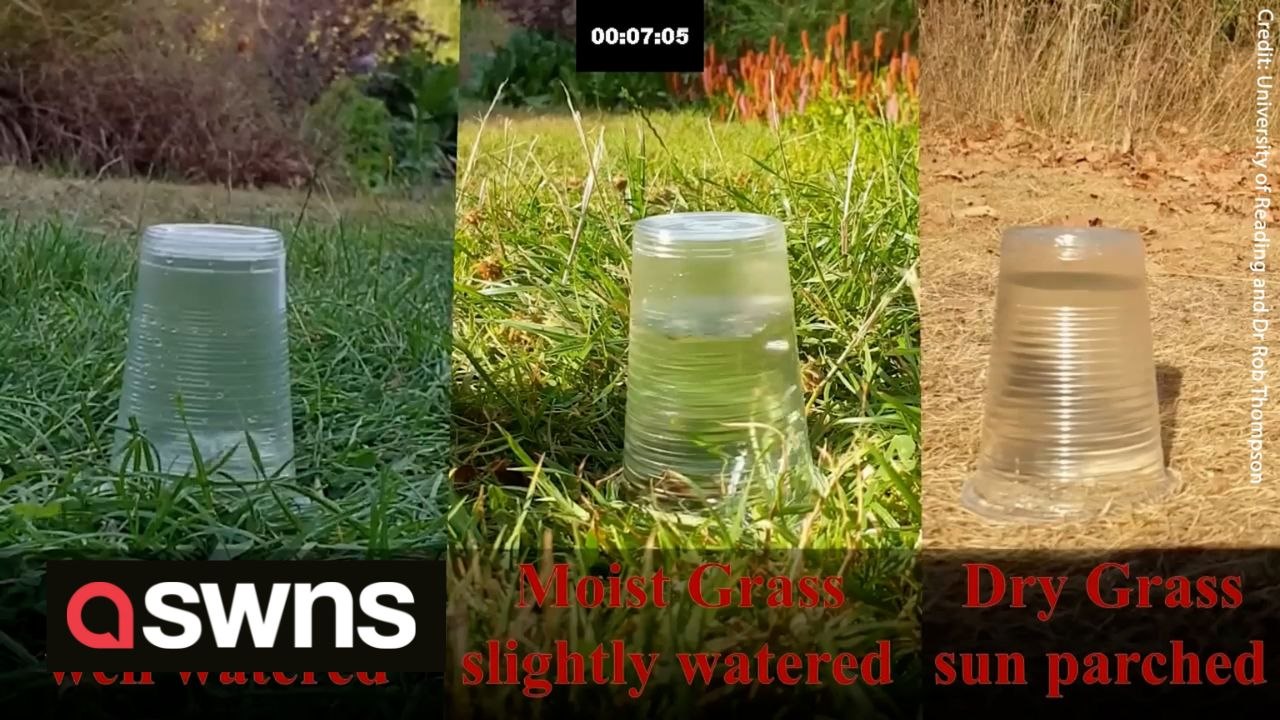 Experiment by a meteorologist shows the effects of droughts - and how they increase the risk of flash floods after rainfall