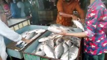 Amazing Fish Sale Video || Desi Fish Market || South Asian fish Bazar|| Morning Fishing