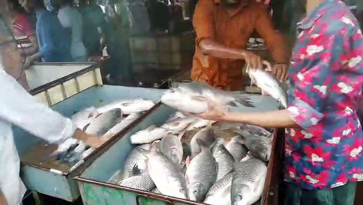 Amazing Fish Sale Video || Desi Fish Market || South Asian fish Bazar|| Morning Fishing