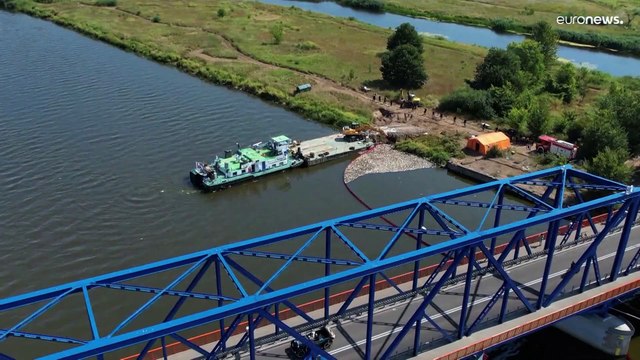 El rastro del exterminio de toneladas de peces en el río Óder llega hasta el mar Báltico