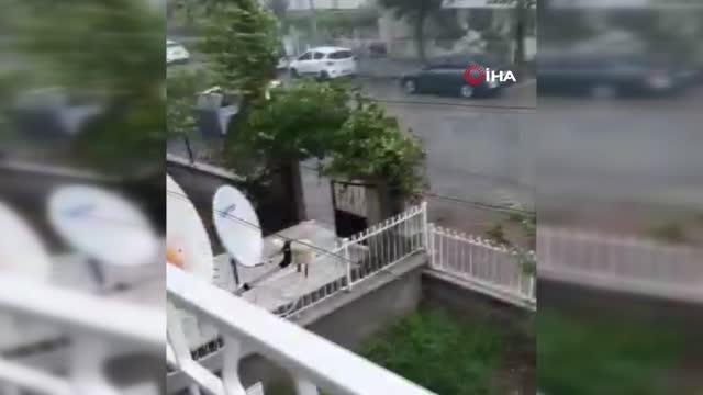 Ankara 3. sayfa: Ankara Mamak'ta fırtınaya dayanamayan ağaç devrildi