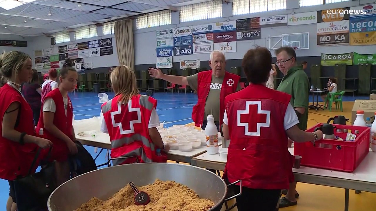 Rekord-Feuer in Europa – Mehr als 600.000 Hektar verbrannte Fläche