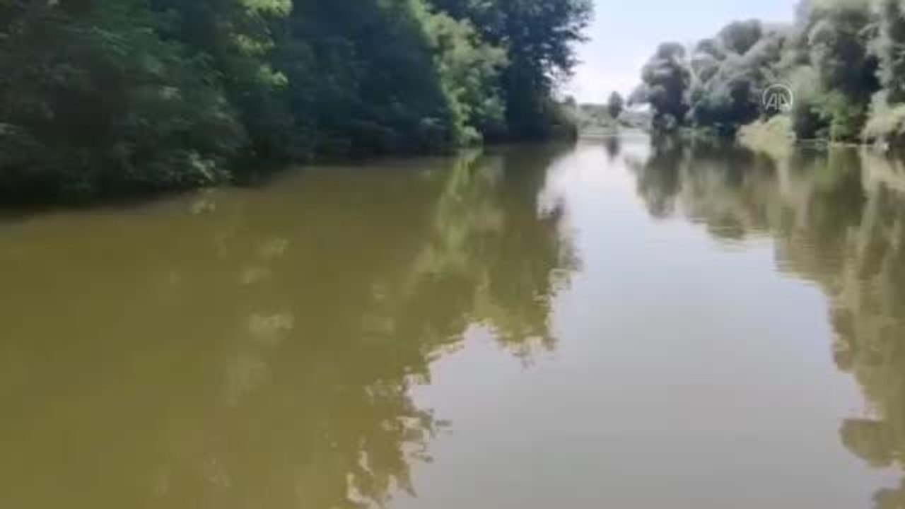 "Meriç Nehri'nde 39 düzensiz göçmenin mahsur kaldığı" iddiası - AFAD ve Hudut Birliklerinin arama-tarama faaliyeti