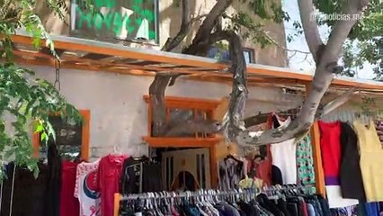 La casa del árbol, un desafío y un sueño realizado
