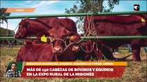 Más de 150 cabezas de bovinos y equinos en el expo rural de la Misiones ct