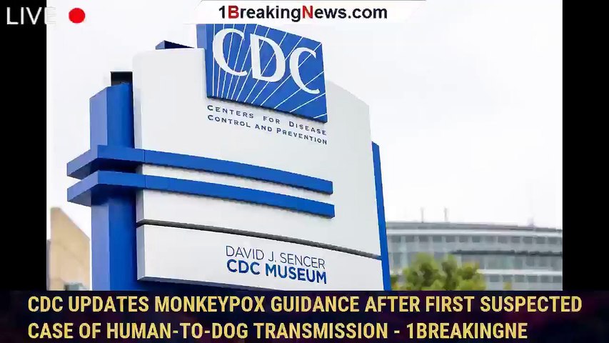 CDC Updates Monkeypox Guidance After First Suspected Case of Human-to-Dog Transmission - 1breakingne