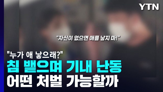 누가 애 낳으래? 기내 난동 부린 남성, 처벌 가능할까 / YTN