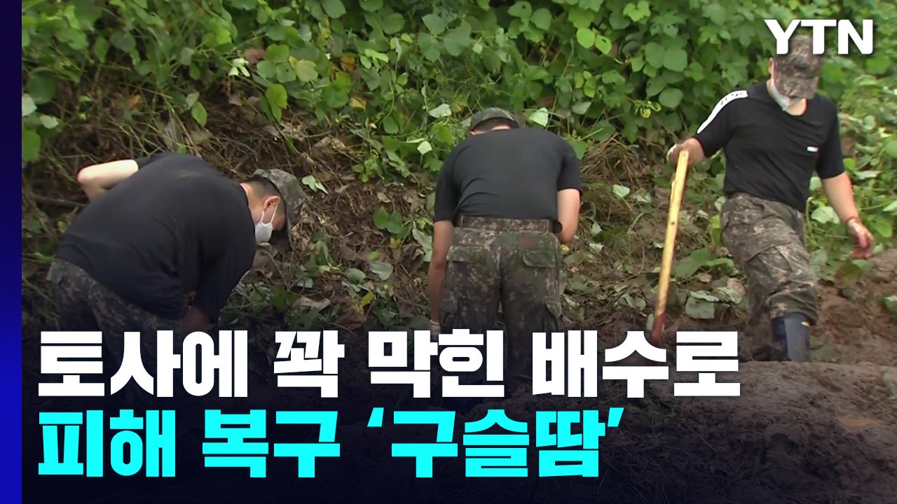밤새 충남·전북에 시간당 60mm 폭우...피해 복구 구슬땀 / YTN