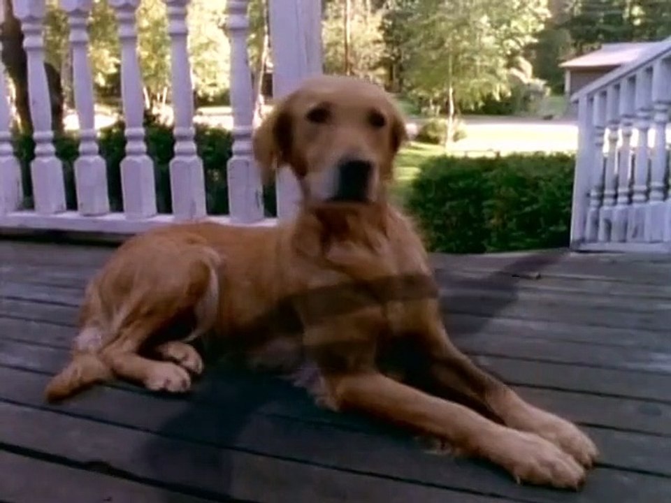 Gänsehaut - Die Stunde der Geister Staffel 1 Folge 11 HD Deutsch