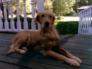 Gänsehaut - Die Stunde der Geister Staffel 1 Folge 14 HD Deutsch