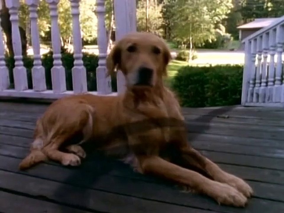 Gänsehaut - Die Stunde der Geister Staffel 1 Folge 14 HD Deutsch