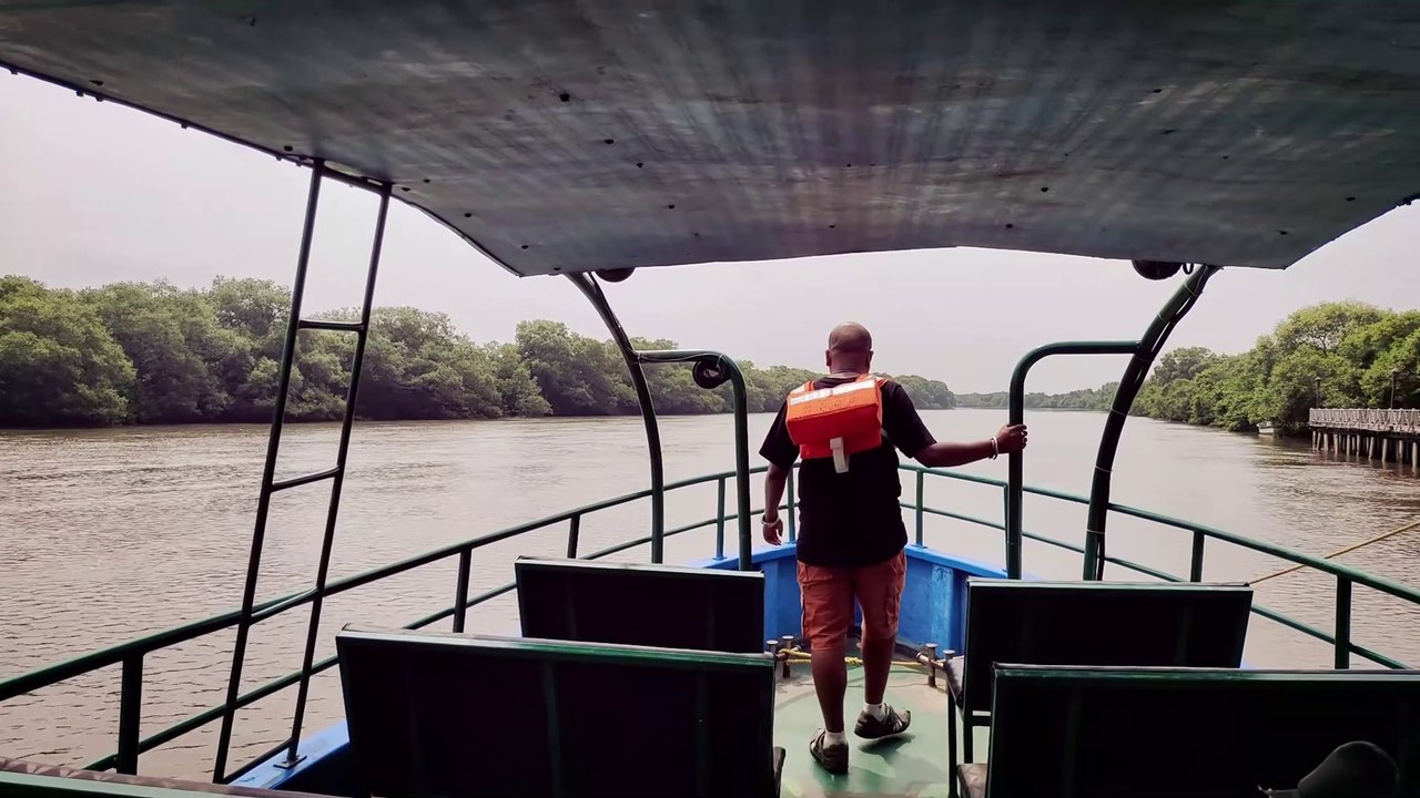 Coringa wildlife sanctuary, 2nd largest mangrove forest of India, Andhra Pradesh, Travel Guide