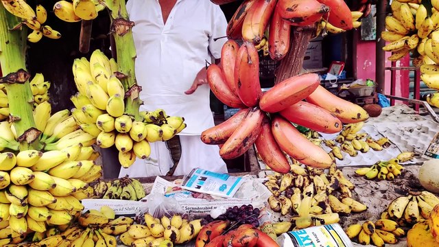 Yanam, Puducherry in Andhra Pradesh, we were cheated, Travel Guide