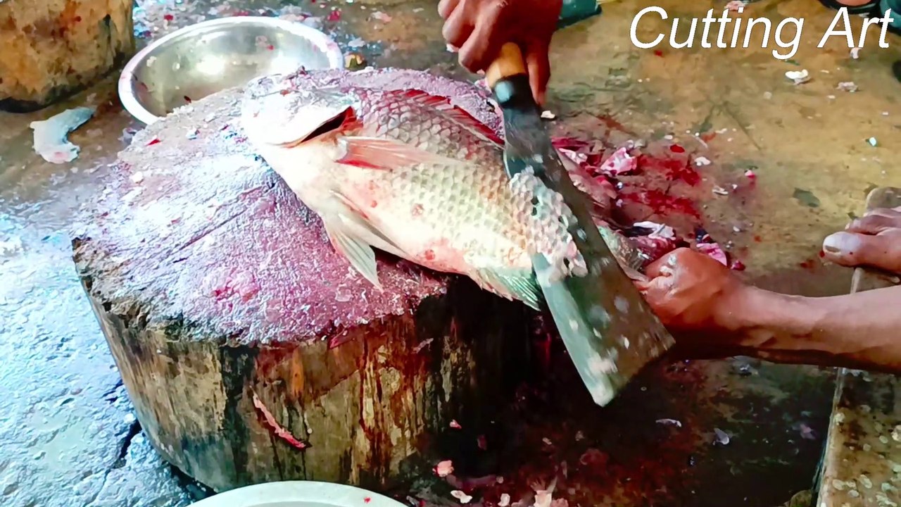 Amazing Fish Cutting Skills | Big Tilapia Fish Cutting in Fish Market