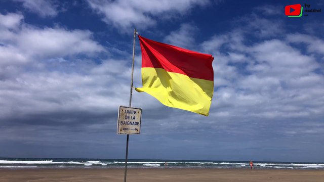 Montalivet | Plage sauvage le Dimanche matin | Montalivet Surf TV